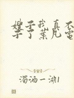 嫂子我真不是傻子了叶凡电子书全集