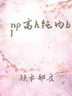 np高h纯肉bl