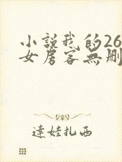 小说我的26岁女房客无删减版