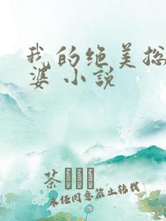 我的绝美总裁老婆 小说