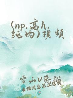 (np,高h,纯肉)视频