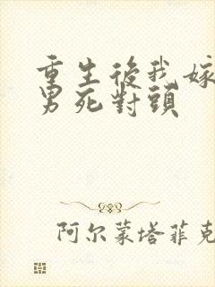 重生后我嫁给渣男死对头