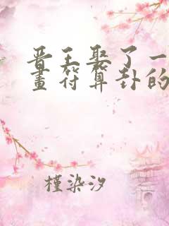 晋王娶了一个会画符算卦的小王妃