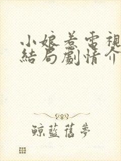 小娘惹电视剧大结局剧情介绍