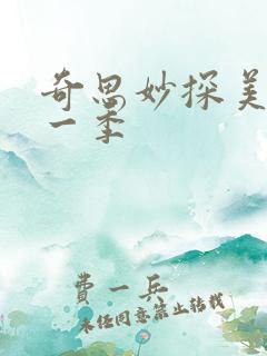 奇思妙探美剧第一季