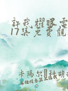 许我耀眼电视剧17集免费观看