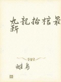 九龙抬棺最新更新