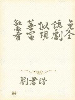 繁华似锦免费观看电视剧全集播放下载