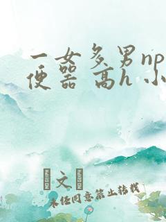 一女多男np肉便器 高h 小说