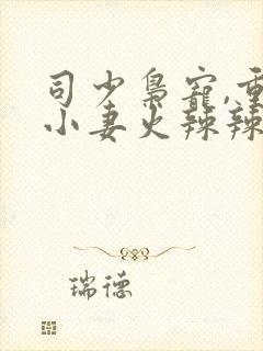 司少枭宠,重生小妻火辣辣