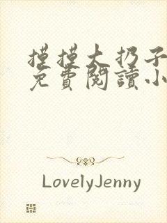 摸摸大扔子小说免费阅读小说