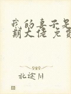 我的妻子是大乘期大佬 免费下载