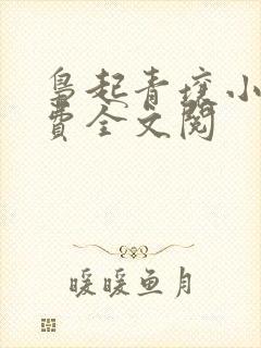 枭起青壤小说免费全文阅