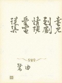 从爱情到幸福全集电视剧免费观看