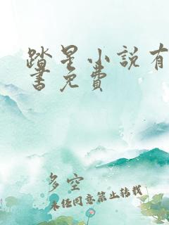 踏星小说有声听书免费