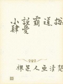 小说霸道总裁放肆爱