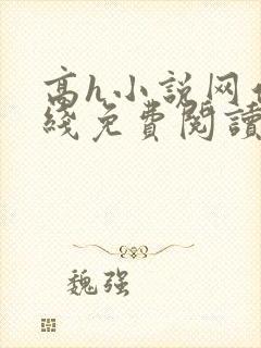 高h小说网站在线免费阅读