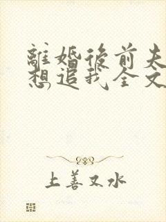 离婚后前夫总是想追我全文免费阅读