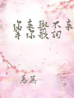 你来与不来我在等你歌词