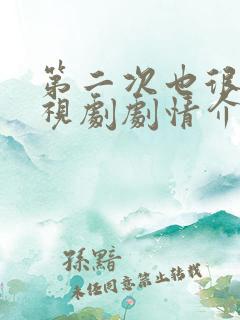 第二次也很美电视剧剧情介绍