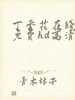 丁香花在线观看免费hd高清完整版