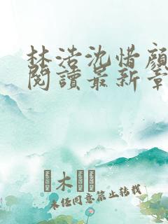 林浩沈惜颜免费阅读最新章节