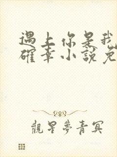 遇上你是我的小确幸小说免费阅读