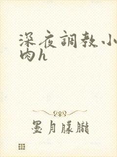 深夜调教小娇妻肉h