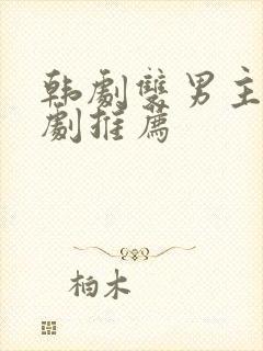 韩剧双男主电视剧推荐