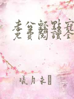 老公轻点宠全文免费阅读全文