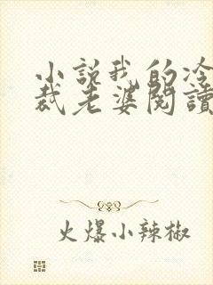 小说我的冷艳总裁老婆阅读