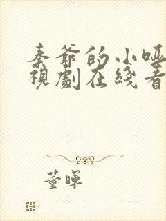 秦爷的小哑巴电视剧在线看