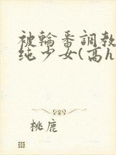 被轮番调教的清纯少女(高h)