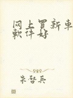 网上买新车哪个软件好