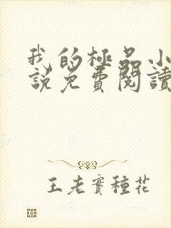 我的极品小姨小说免费阅读全文无删减