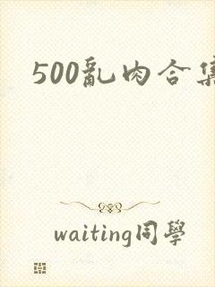 500乱肉合集