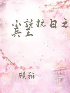 小说抗日之特战兵王