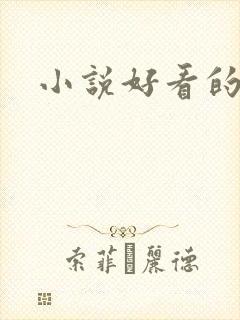 小说好看的小说