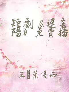 短剧《迟来的暖阳》免费播放