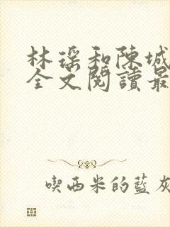 林瑶和陈城小说全文阅读最新章节