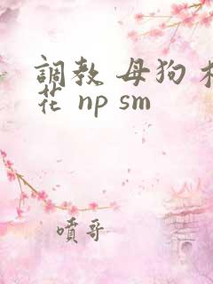 调教 母狗 校花 np sm