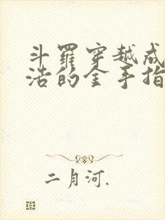 斗罗穿越成霍雨浩的金手指