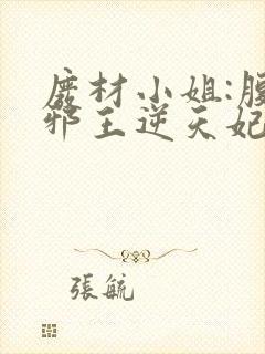 废材小姐:腹黑邪王逆天妃 叶轻轻