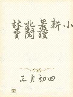 林北最新小说免费阅读