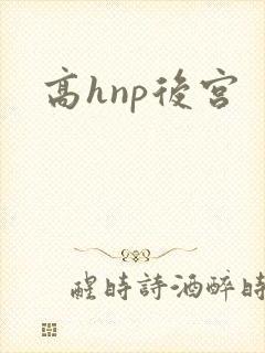 高hnp后宫
