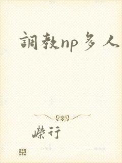 调教np多人