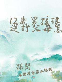 12岁男孩很叛逆打父母怎么办