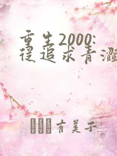重生2000:从追求青涩校花同桌开始第二部