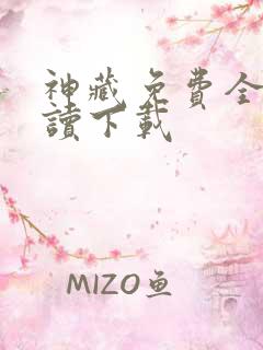 神藏免费全文阅读下载