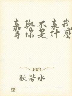 来与不来我都在等你是什么歌